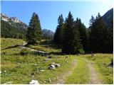 Tinčkova koča - Srednji vrh (above Završnica)